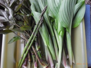 うるい、うど、アスパラ うるい、うど、アスパラ